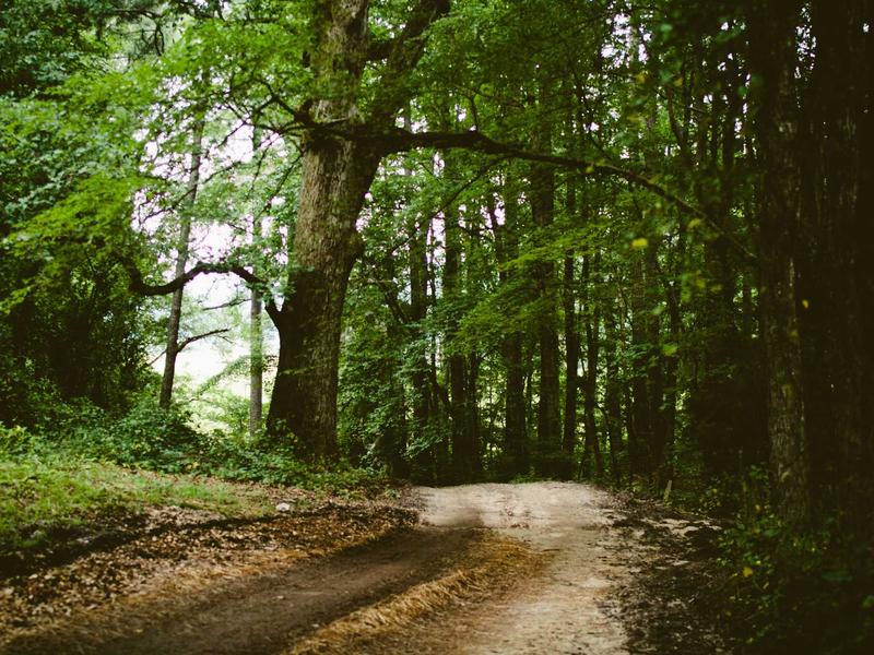 sudoku expert screenshot 4